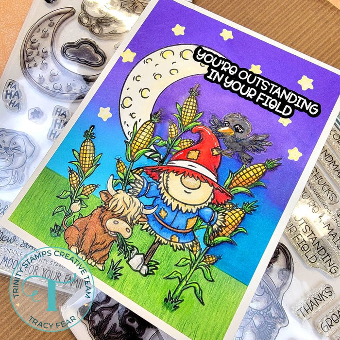 Gnome On The Range 4x8 Stamp Set