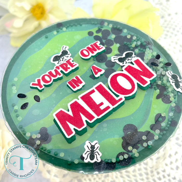 Watermelon Circle Add-on 6x9 Stencil