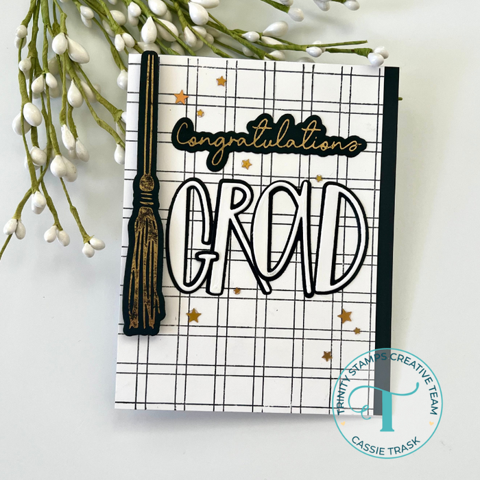 Double Line Check 6x6 Background Stamp