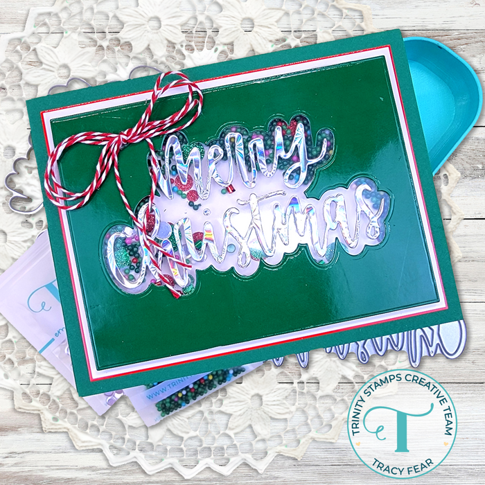 Large Christmas Sentiment Die Set