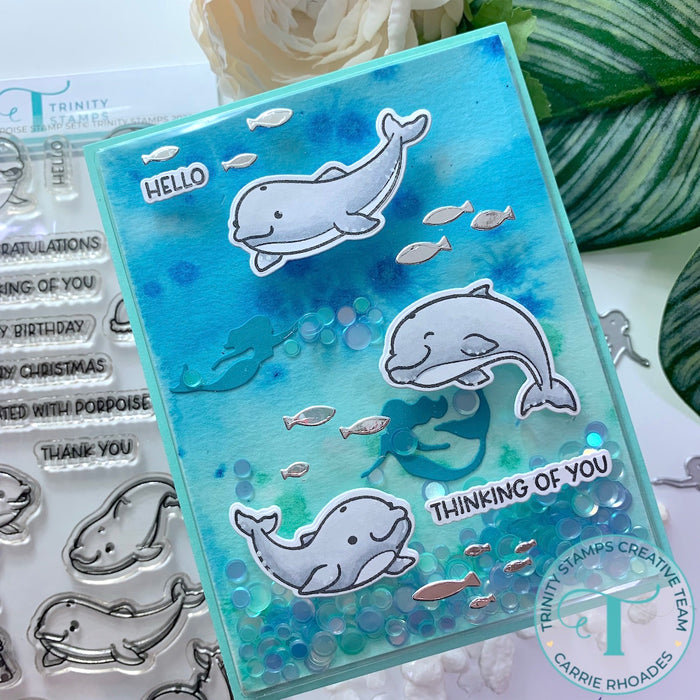 A-2 Card Layer 4" x 5.25" - Flat Acetate Shaker Pouches