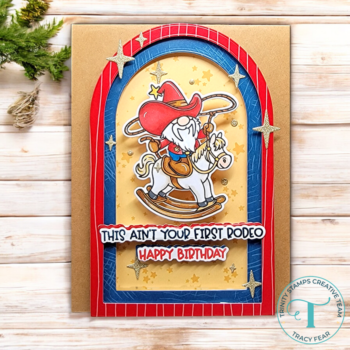 Gnome On The Range 4x8 Stamp Set