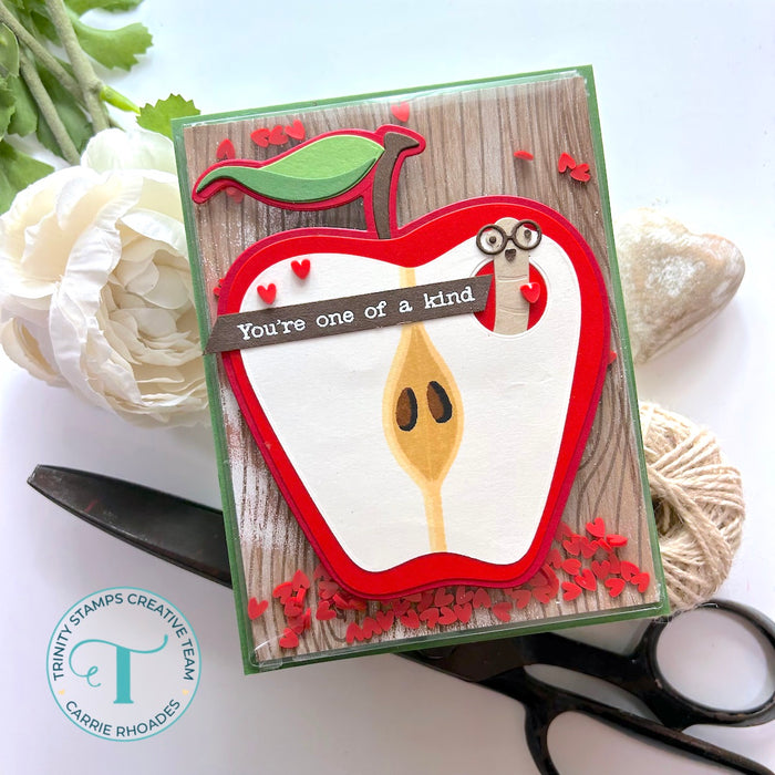 A-2 Card Layer 4" x 5.25" - Flat Acetate Shaker Pouches