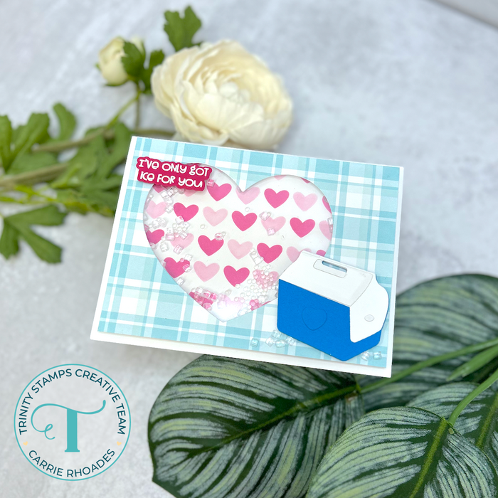 Cooler Sentiments Coordinating Die Set