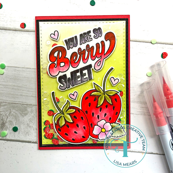 Berry Sweet 3x4 Stamp Set