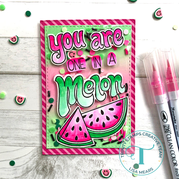 One in a Melon 3x4 Stamp Set