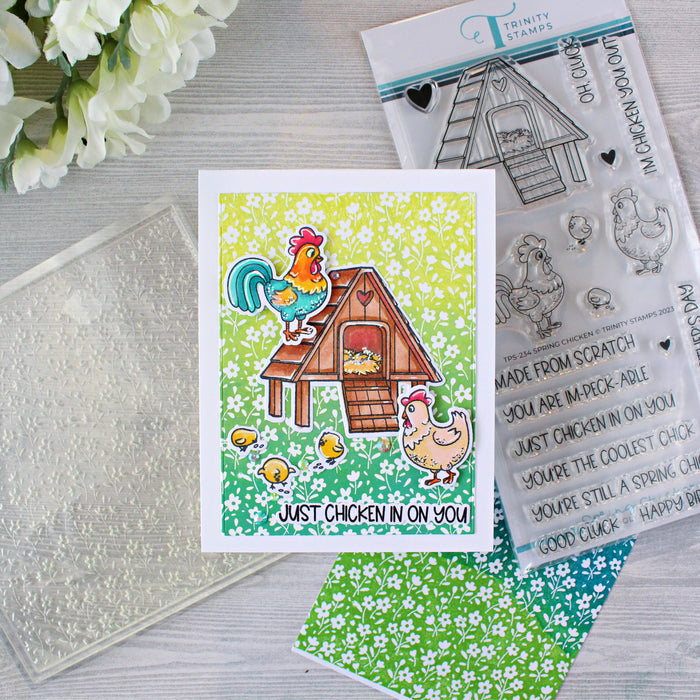 Spring Chicken 4x8 Stamp Set