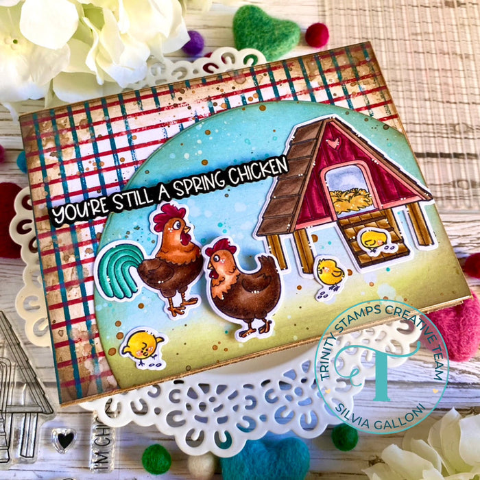 Spring Chicken 4x8 Stamp Set
