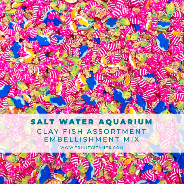 Salt Water Aquarium Embellishment Mix