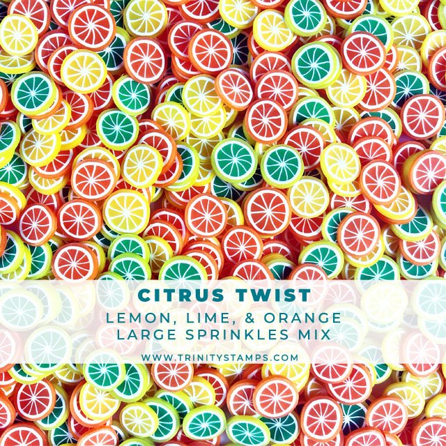 Citrus Twist - Larger size Fruit Slice Sprinkle Embellishment Mix