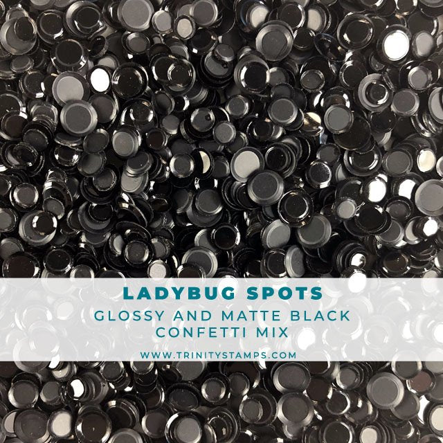 Ladybug Spots: Shiny and Matte Black Confetti Mix